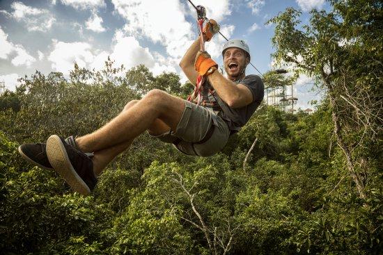 Selvatica