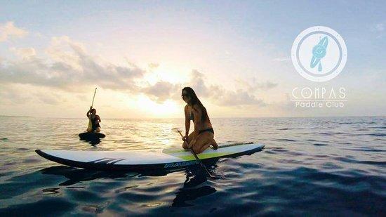 Compas Paddle