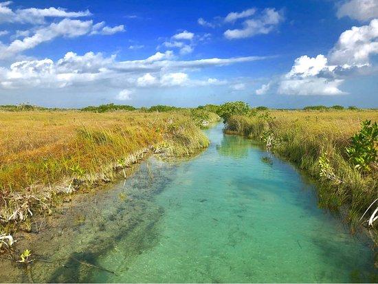 Indigena Maya Ecotours